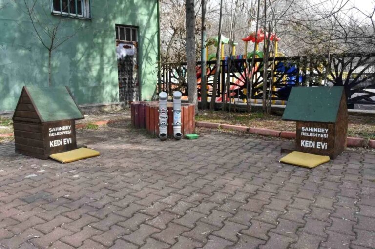 baskan tahmazoglundan sokak hayvanlarina su cagrisi U3UQp1sr