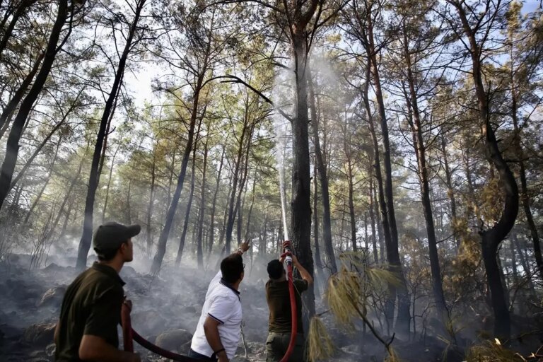 fethiyede orman yangini kontrol altina alindi Iw8mzOEy