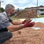hasat sonrasi kurutma mesaisi basladi kilosu 200 liradan satiliyor Qg8AEPJQ