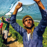 koye donen genclere bedelsiz arazi dusuk faizli kredi ve ev destegi c1lCqn6x