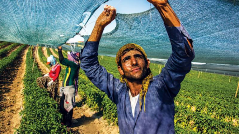 koye donen genclere bedelsiz arazi dusuk faizli kredi ve ev destegi c1lCqn6x