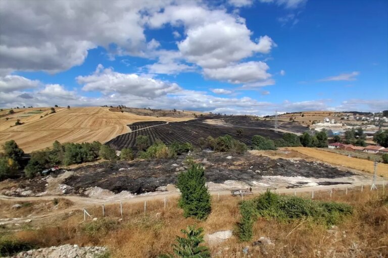 samsunda aniz yanginlari kontrol altina alindi uPrCLWnf