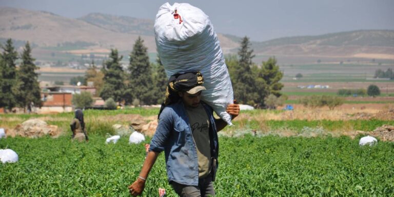 sicaklar kirmizi altini vurdu gozler fiyatlarda UknGst31
