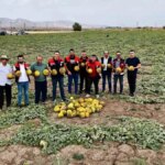 agrida kavun hasadi basladi EgSP55lN