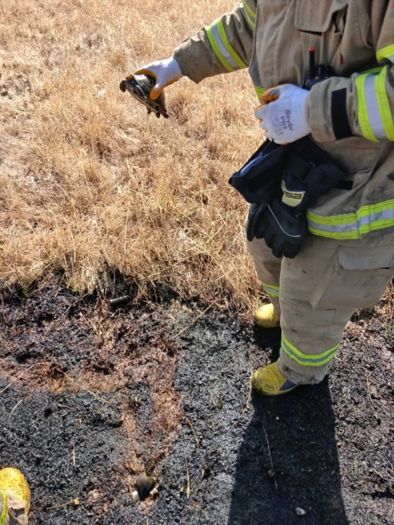 balikesirde iki yangin sonduruldu 8raMqPBy