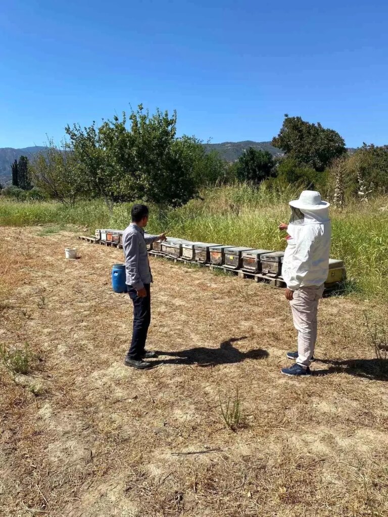 buharkentte arili kovan tespit calismalari lZxHqnwP