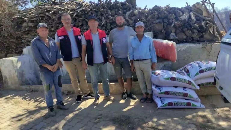 buldandaki orman yangini sonrasi dayanisma EFqHxlGC