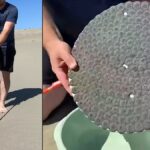 colde gezdirdigi dev miknatisla degerli ne varsa topladi zXdsBPMI