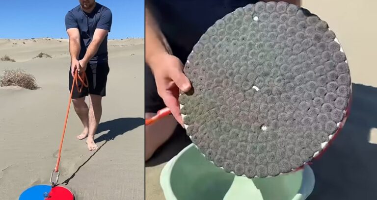 colde gezdirdigi dev miknatisla degerli ne varsa topladi zXdsBPMI