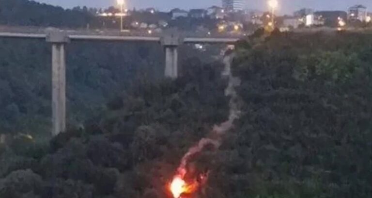 havai fisekli orman yangini cikardi 65 yila kadar hapsi isteniyor NwBuwMvj