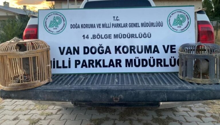 kacak keklik avlayan kisiye 48 bin lira ceza FxAHlsxj