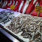 karadenizde av sezonu basladi hamsi beklentisi var 3XCwe371