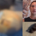 zehirli etleri cocuklara dagittirmis bilmiyorduk belediye baskanindan tepki uiUU7YJm