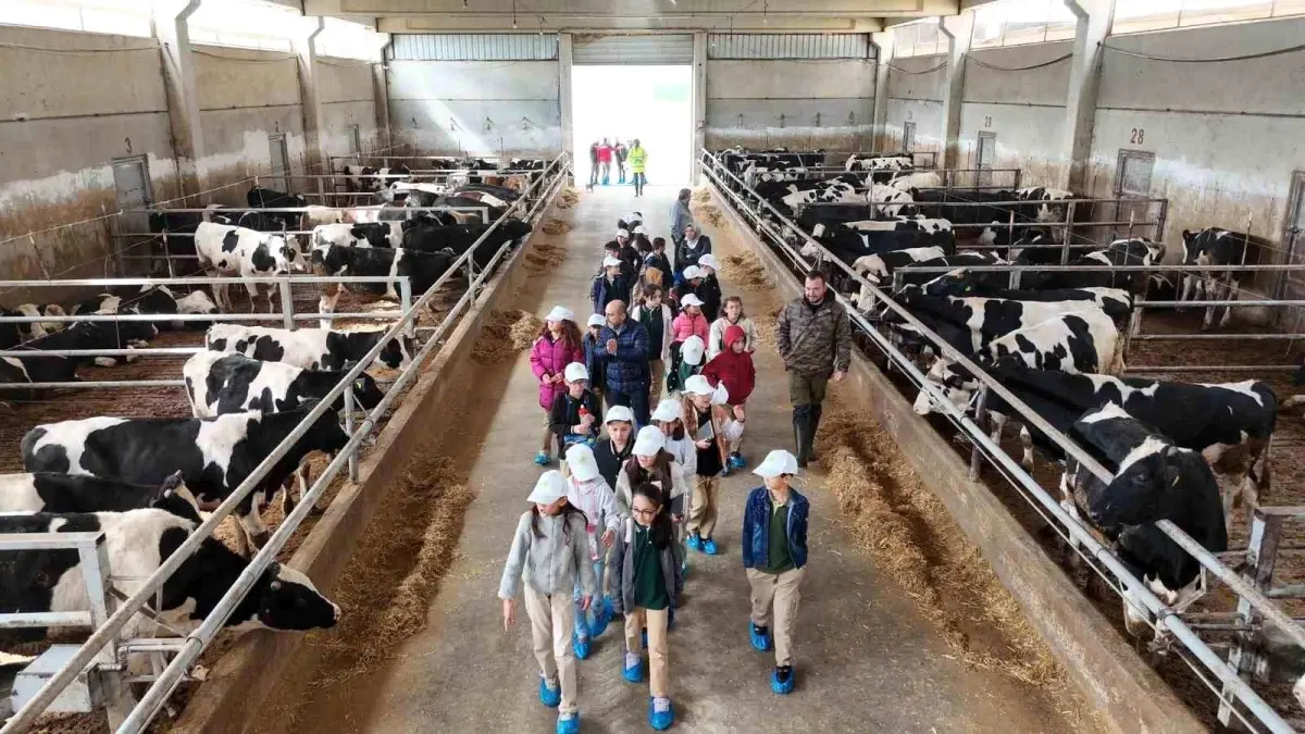 afyonkarahisarda lider cocuk tarim kampi gerceklesti trud7fkQ.jpg