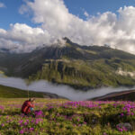 sukunet arayanlara karadenizin masalsi yaylalari 2CiE99YK