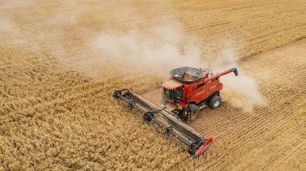 tuik eylul verilerini acikladi tarimda uretici fiyatlari yukseldi dAZcg2uI.jpg