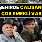 21-sehirde-emekli-sayisi-aktif-calisan-sayisini-gecti-ERDHPcY8.jpg