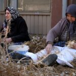 beyaz altin olarak biliniyor hasat sonrasi yogun mesai fKYeVs4Z.jpg