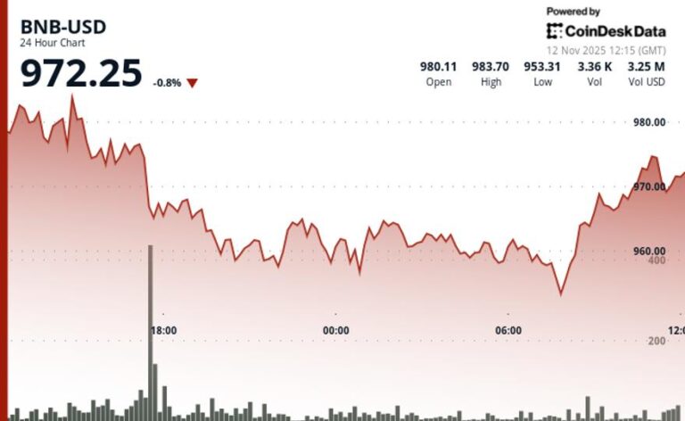 bnb-recovers-above-970-after-brief-drop-as-market-volatility-pressures-token-6WMRCRbB.jpg