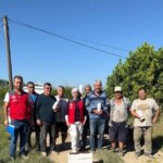 ortacada narenciye zararlilariyla mucadele uFYEXAOw.jpg