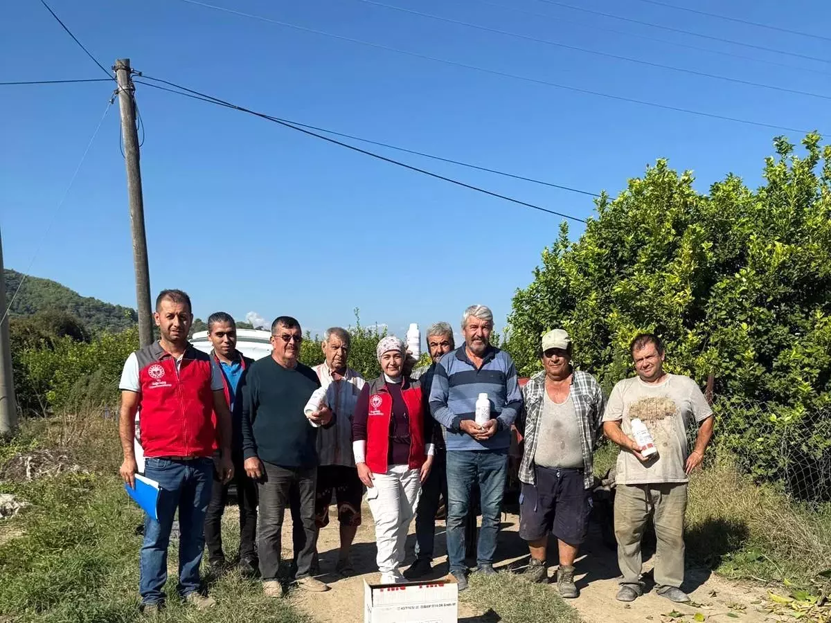 ortacada narenciye zararlilariyla mucadele uFYEXAOw.jpg