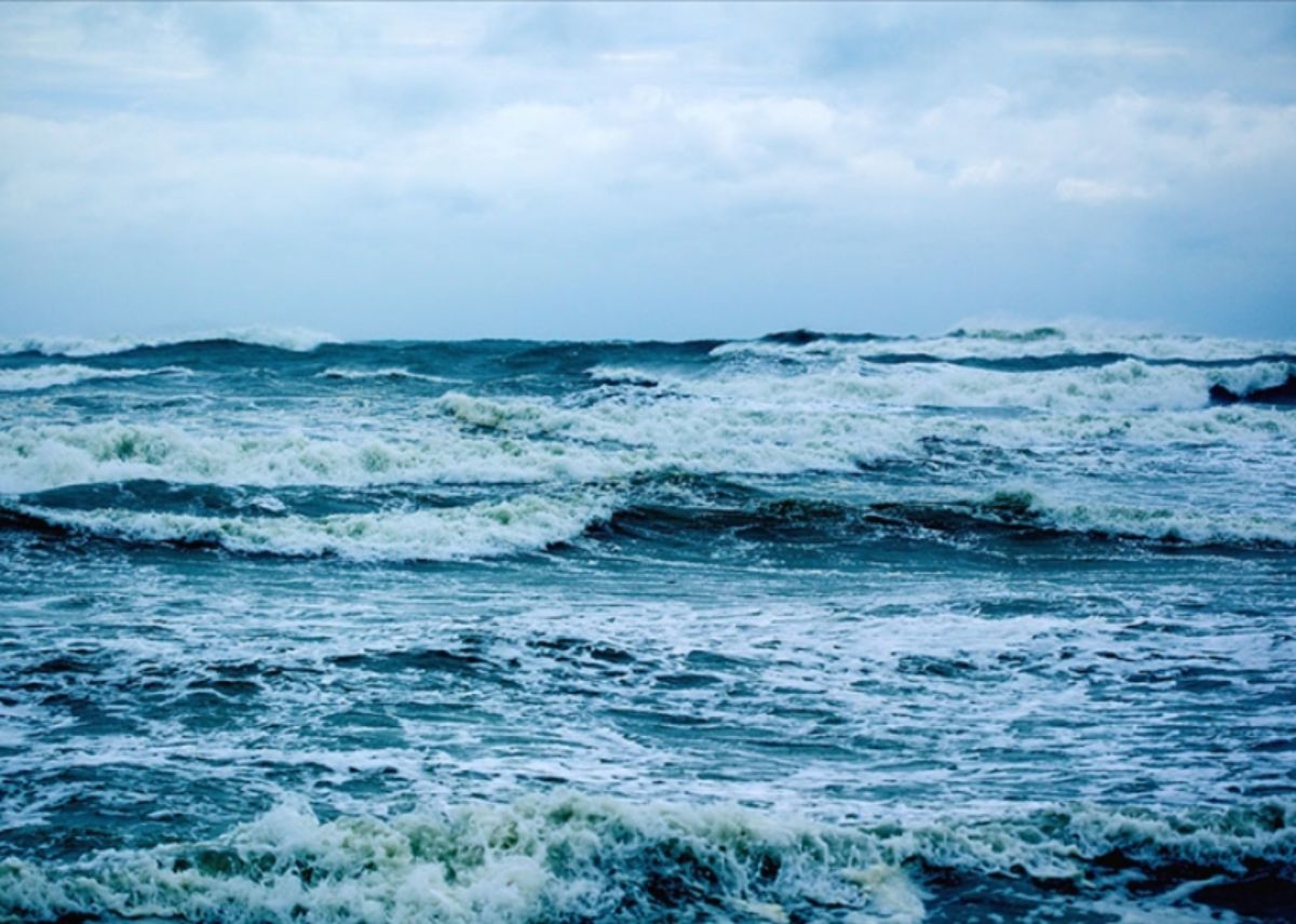 Ağır makineler Pasifik tabanını deldi. Madencilik testlerinin yıkıcı etkileri açığa çıktı