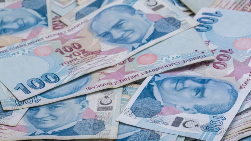 Sindirim Sistemi: İşleyişi ve Temel Bileşenleri