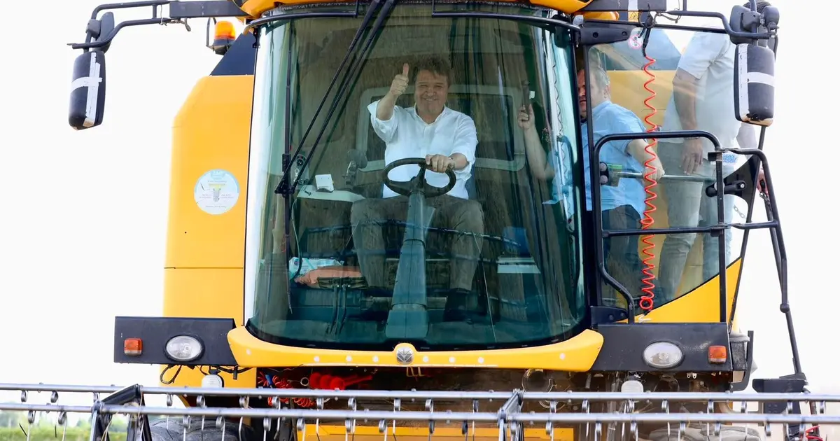 Haber gorseli